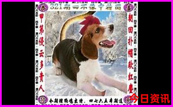 湖南省哪里好玩的景点推荐
